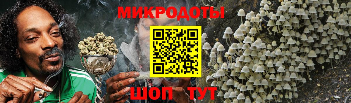 Галлюциногенные грибы мухоморы  Вход с VPN  Россия 